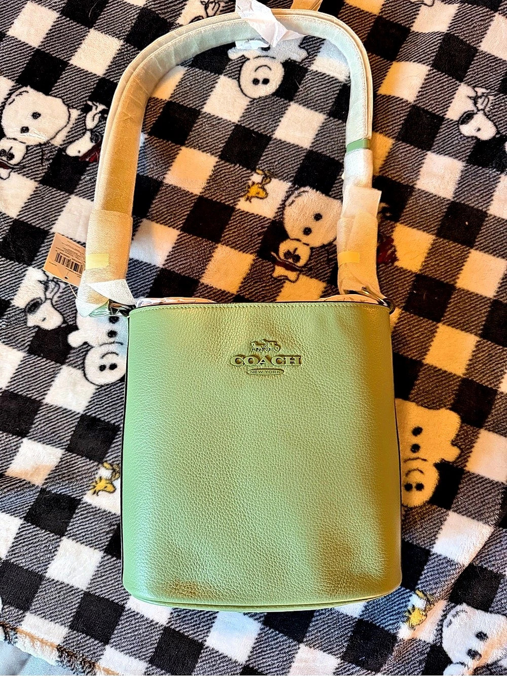 Coach Sophie Bucket Bag Green Crossbody NWT